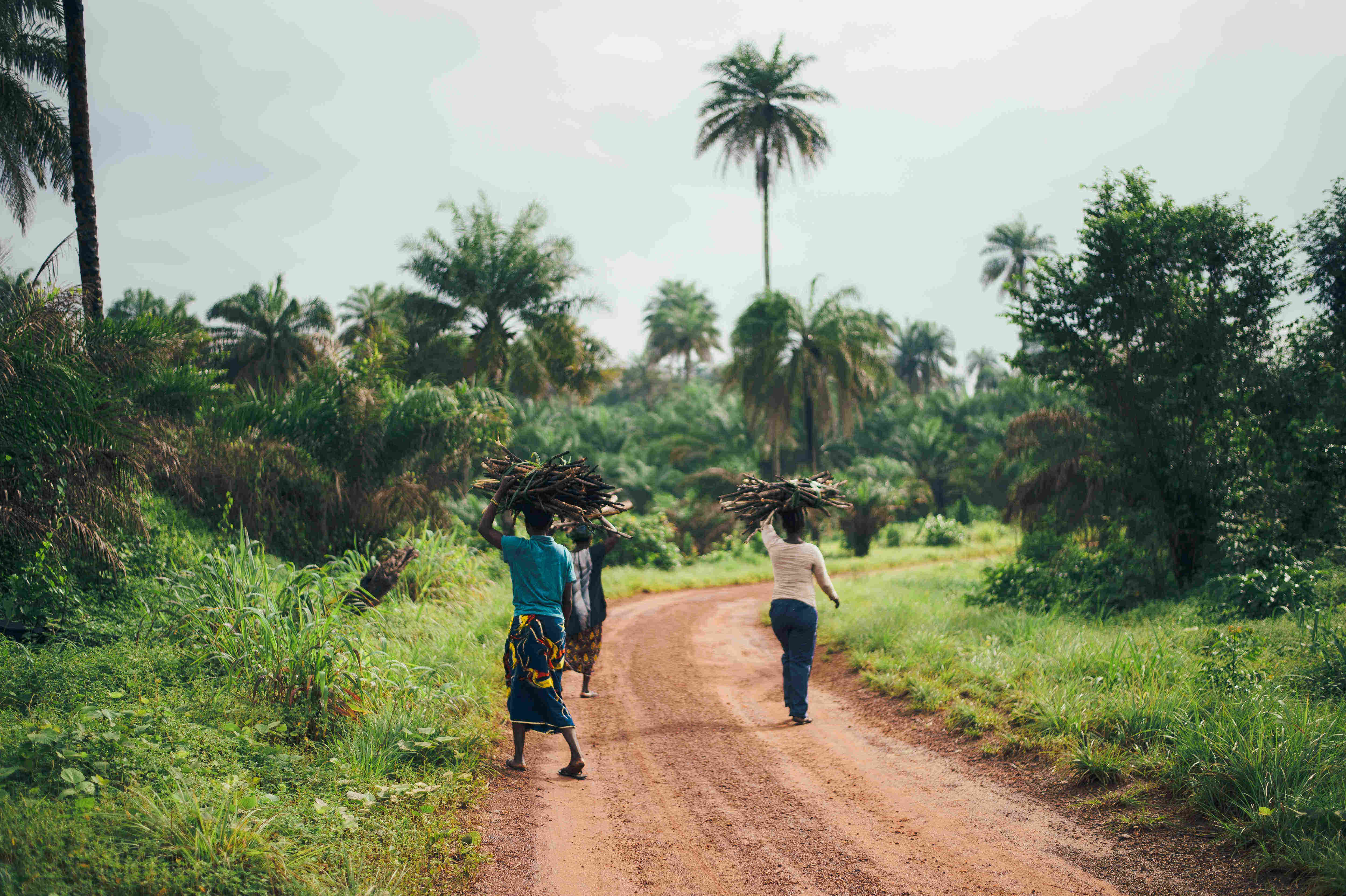 Women carrying wood